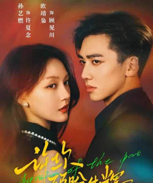 许你顾盼生辉（68集全）欧靖枭＆孙艺燃-搜外项目网
