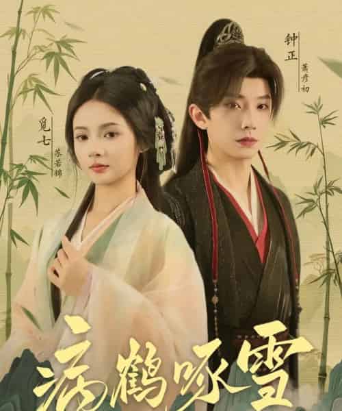 病鹤琢雪（80集）钟正＆觅七-搜外项目网