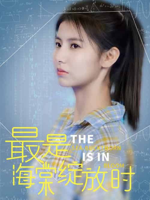 最是海棠绽放时（33集全）邓恒健＆王槿-搜外项目网