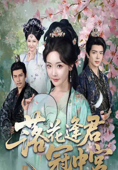 落花逢君冠中宫（65集）温宇＆孟璐-搜外项目网