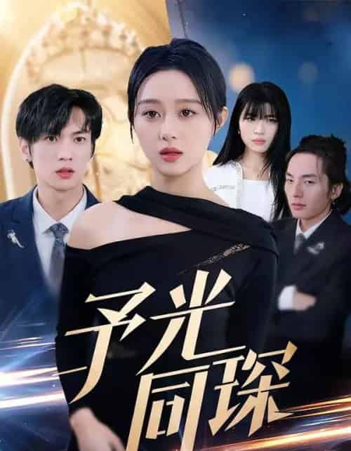 予光同琛（39集全）夏文馨＆柳天杨-搜外项目网