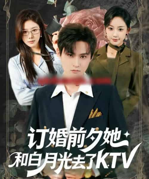 订婚前夕她和白月光去了 KTV(80集全)黄贺&卿苗-搜外项目网