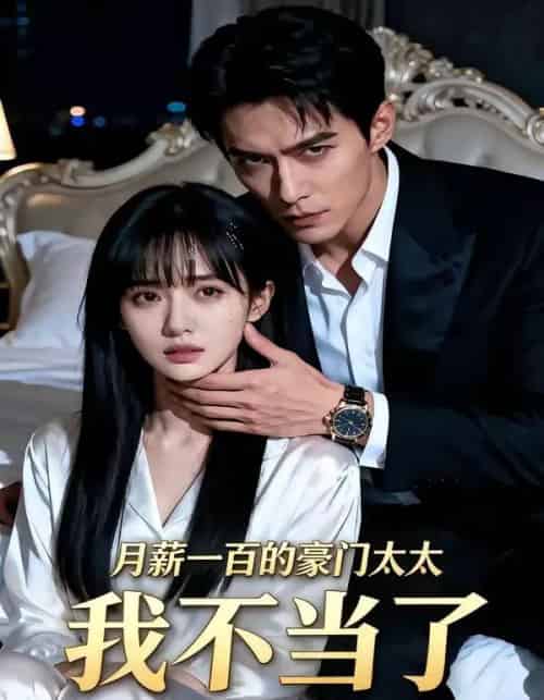 月薪一百的豪门太太我不当了（36集全）AI-搜外项目网
