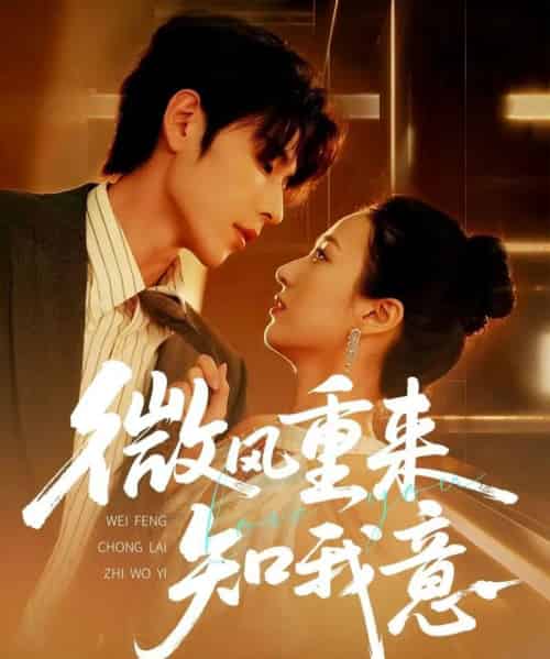 微风重来知我意（62集）安奕明＆尹澜霏-搜外项目网
