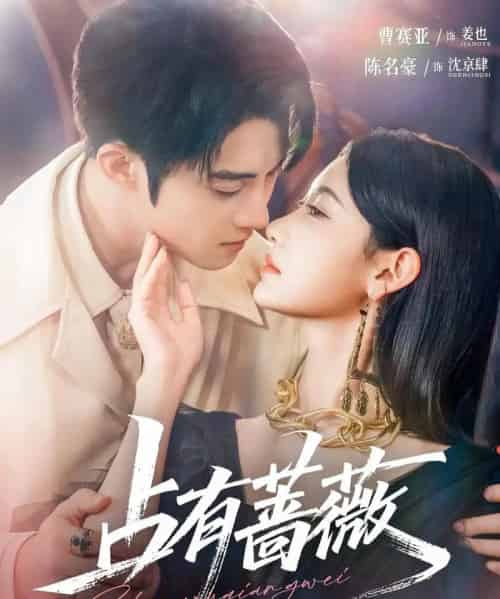 占有蔷薇(76集)陈名豪&曹赛亚-搜外项目网