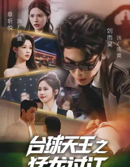 台球天王之猛龙过江(72集全)章圻悦&刘雨昊-搜外项目网