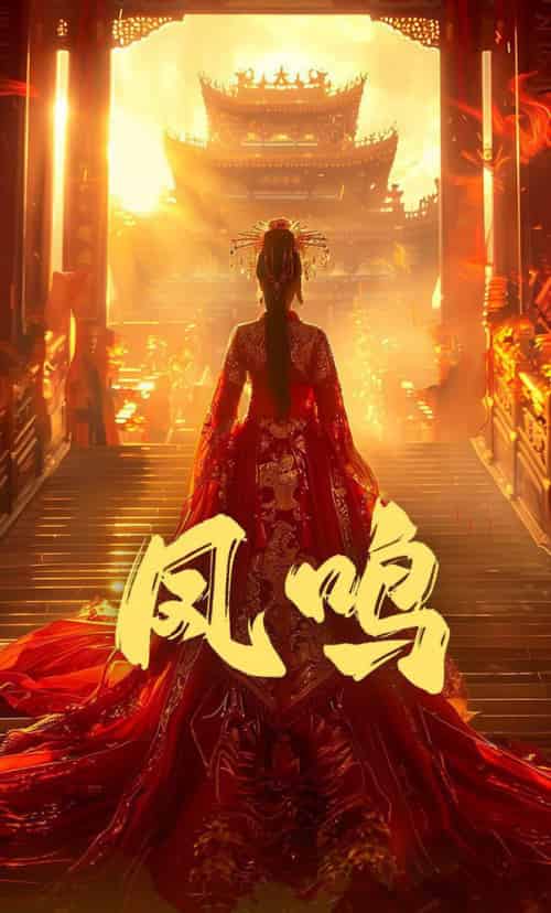 凤鸣（60集全）苏晓言＆何正琛-搜外项目网