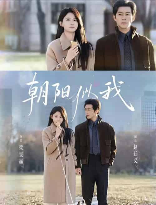 朝阳似我（81集全）赵廷义＆梁雯晶-搜外项目网