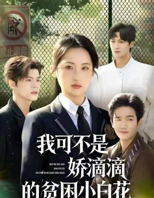 我可不是娇滴滴的贫困小白花(53集全)彭瑞风&申晴-搜外项目网