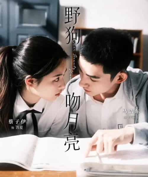 野狗吻月亮（68集）马浩东＆蔡子伊-搜外项目网