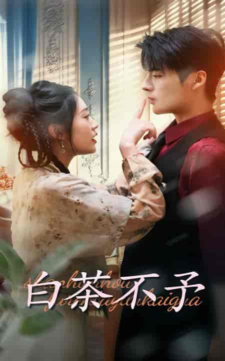 白茶不予(68集全)潘欣懿&段美洋-搜外项目网