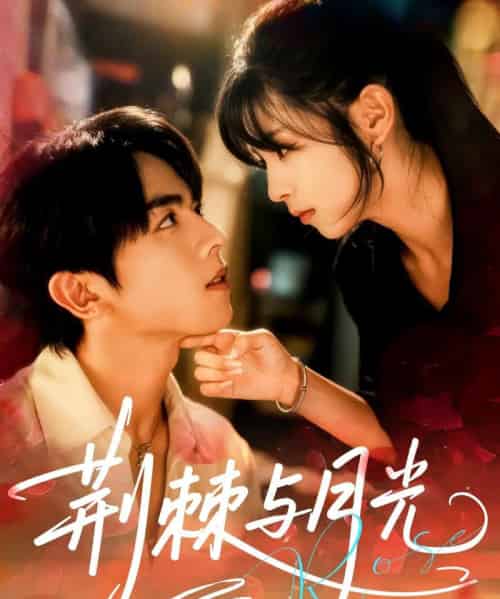 荆棘与月光（60集全）曹竣柯＆李泫逸-搜外项目网