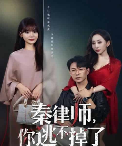 秦律师你逃不掉了（80集全）祁圣翰＆王一晴-搜外项目网