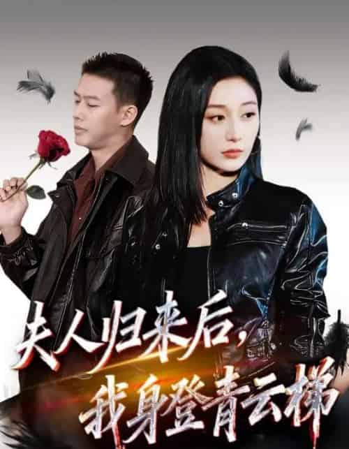 夫人归来后我身登青云梯&夫人助我踏巅峰(70集全)刘亚倩&柴昊辰-搜外项目网