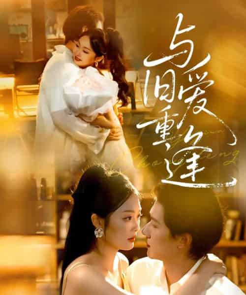 与旧爱重逢(63集)冯伊洋&吴佳诺-搜外项目网