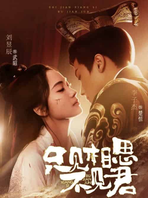 只见相思不见君（82集全）李子杰＆刘昱辰-搜外项目网