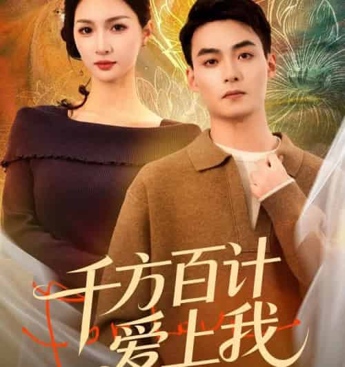 千方百计爱上我（80集全）申阳＆朱碧漪-搜外项目网