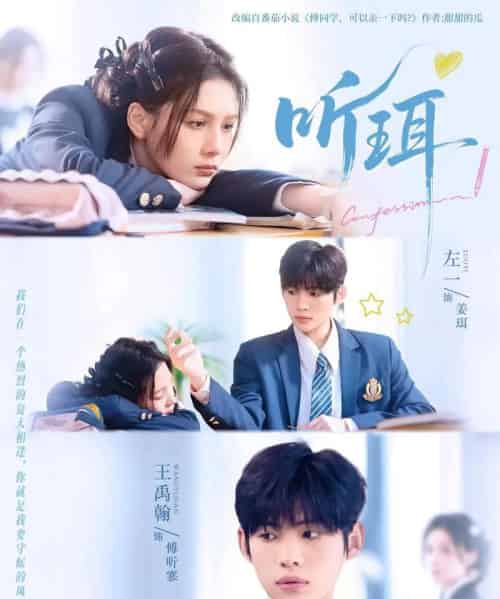 听珥(84集全)王禹翰&左一-搜外项目网