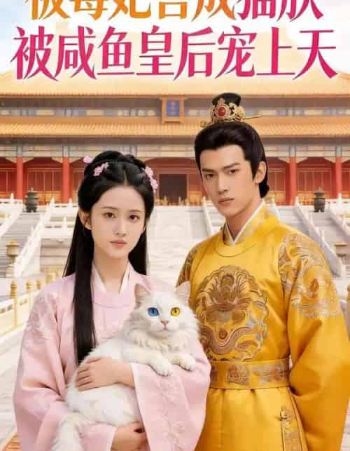 被毒妃害成猫朕被咸鱼皇后宠上天（33集全）Ai-搜外项目网