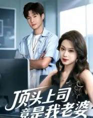 顶头上司竟是我老婆（51集全）韩品杰＆任柏玉-搜外项目网