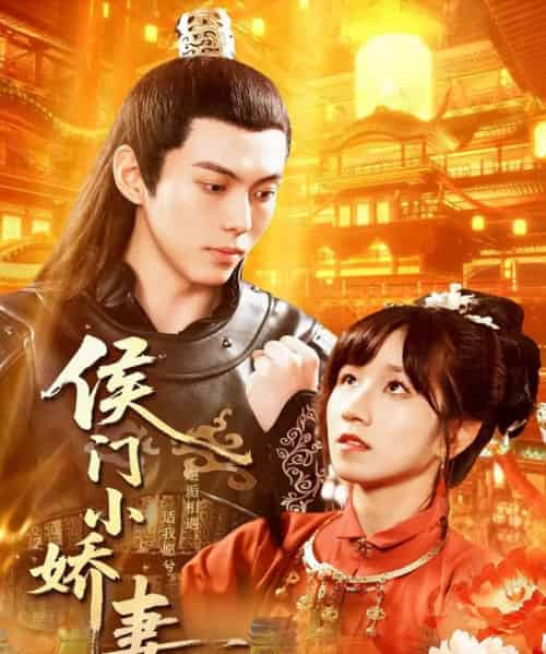 侯门小娇妻（104集全）于航＆曲笑孝-搜外项目网