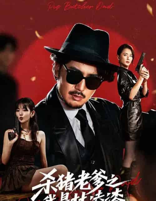 杀猪老爹之我是林凌漆（60集全）陈贤宇＆李真美-搜外项目网