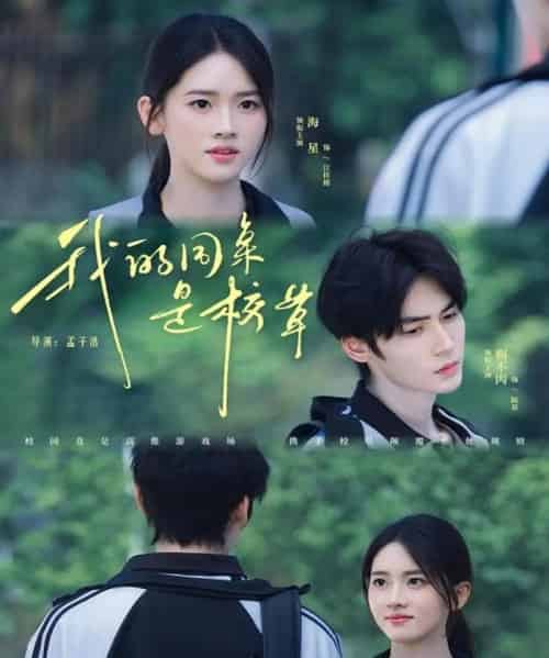 我的同桌是校草(51集全)赐不肉&海星-搜外项目网