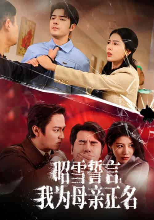 昭雪誓言，我为母亲正名（60集全）李浩＆林娜-搜外项目网