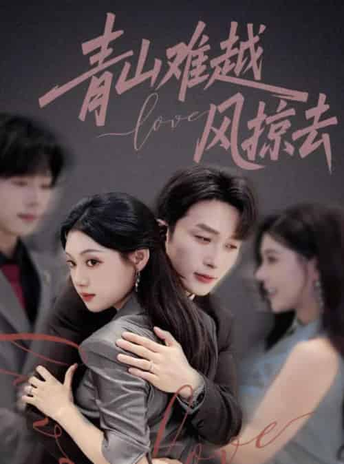 一枕海棠醉君怀（73集全）卢东旭＆郁葱-搜外项目网