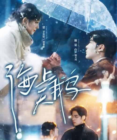 海上天鹅（70集全）陆天玮＆唐幕佳-搜外项目网