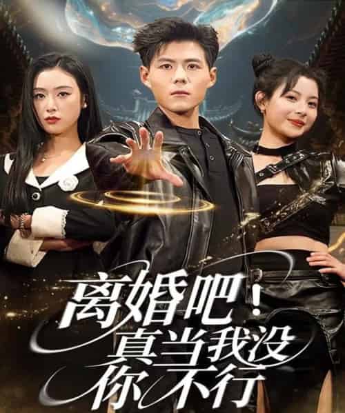 离婚吧！真当我没你不行（69集全）郭建清＆李文瑞-搜外项目网