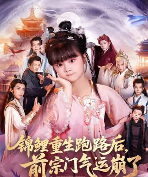 锦鲤重生跑路后前宗门气运崩了（73集全）黄骞＆黄博斯-搜外项目网