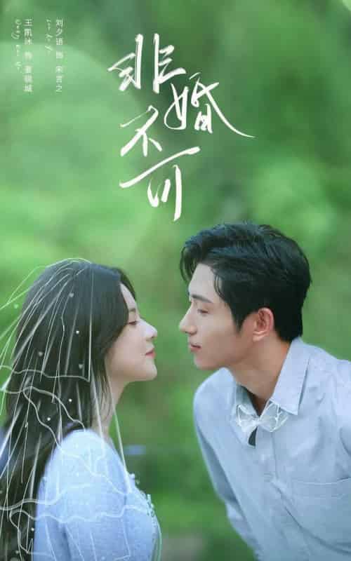 非婚不可（65集全）王凯沐＆刘夕语-搜外项目网