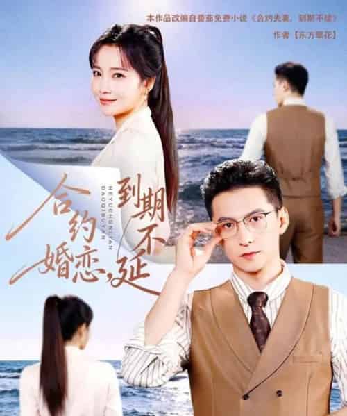 合约婚恋，到期不延（61集全）杨寒＆赵菲-搜外项目网