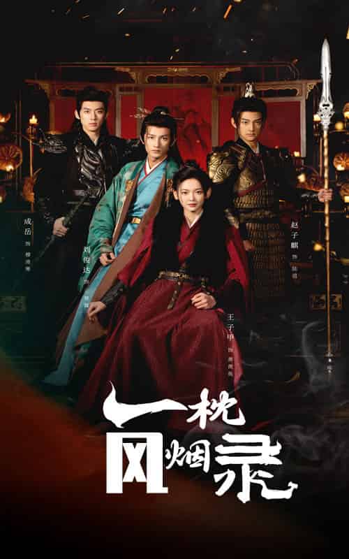 一枕风烟录（55集全）王子甲-搜外项目网