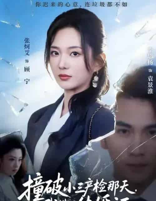 撞破小三产检那天，我撕了结婚证（70集全）张炯艾＆李思杨-搜外项目网