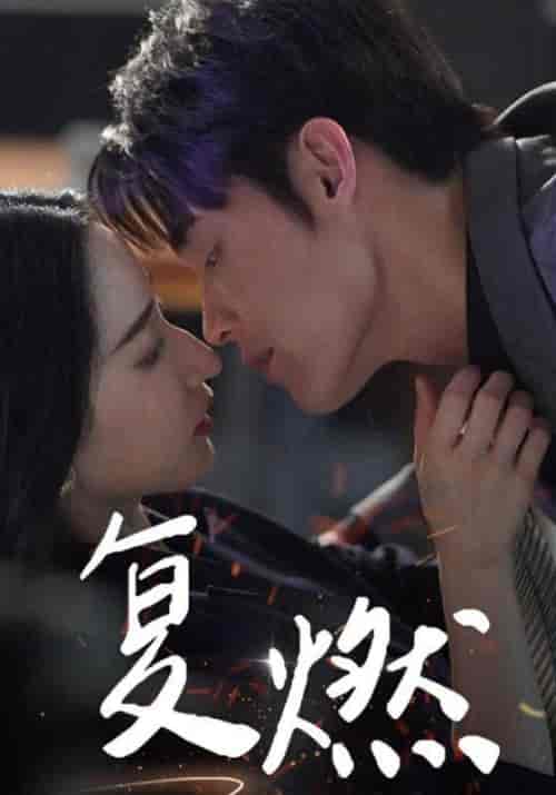 复燃(68集全)朱哲人-搜外项目网