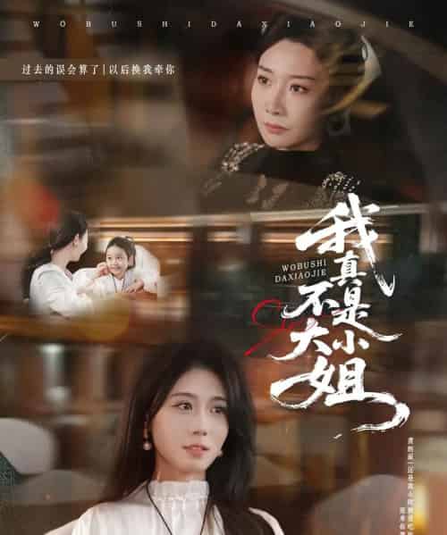 我真不是大小姐（70集全）王圻嘉＆吴彤-搜外项目网