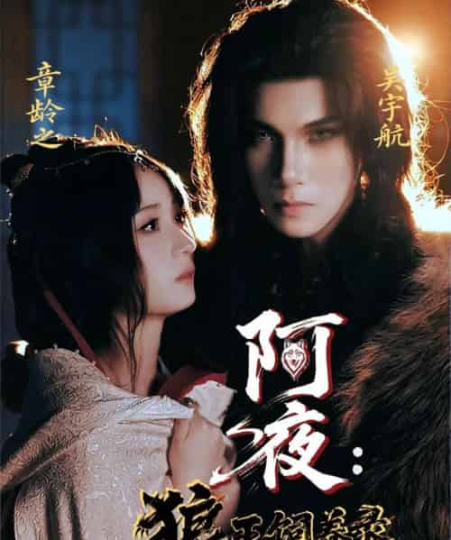 阿夜狼王饲养录(67集)吴宇航&章龄之-搜外项目网