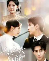 千夜尽头是暖阳（69集全）丁紫含＆戴睿-搜外项目网