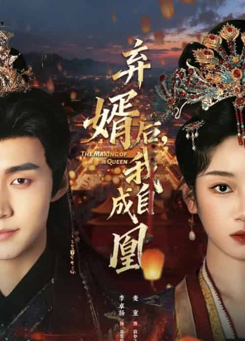 弃婿后，我自成凰（61集全）李卓扬＆麦童-搜外项目网