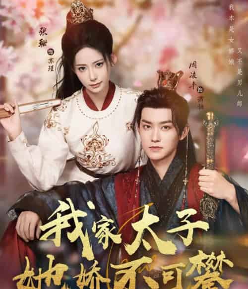 我家太子她娇不可攀(80集全)周凌丰&张珊-搜外项目网