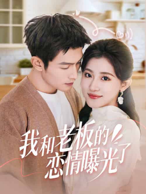 我和老板的恋情曝光了＆春风揽月上瑶台（57集全）张培宝＆芦苇-搜外项目网