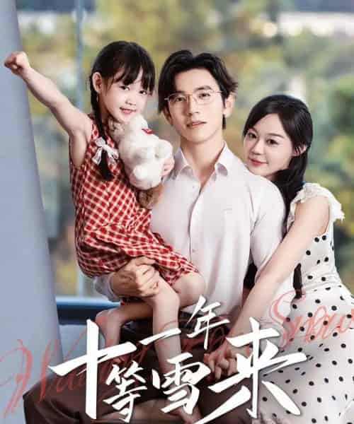 十一年等雪来（50集全）赵冠宇＆蔚琳 6场吻戏-搜外项目网