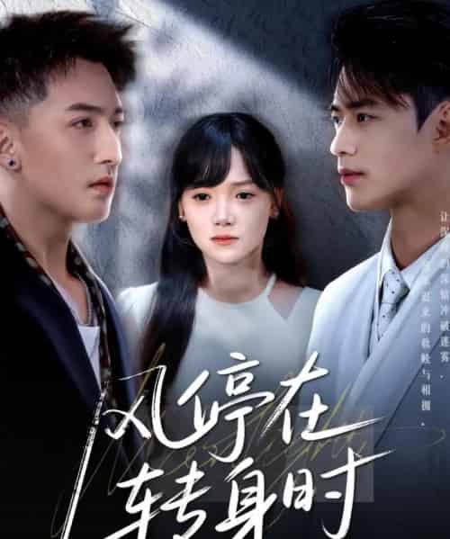 风停在转身时（72集）黄小再＆秦远-搜外项目网