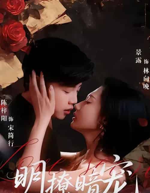 明撩暗宠（60集全）陈梓阳＆景露-搜外项目网