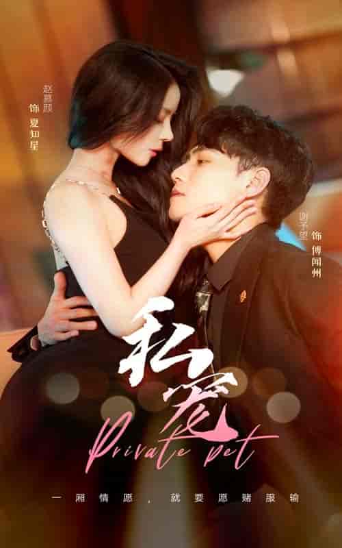私宠（94集）谢予望 赵慕颜-搜外项目网