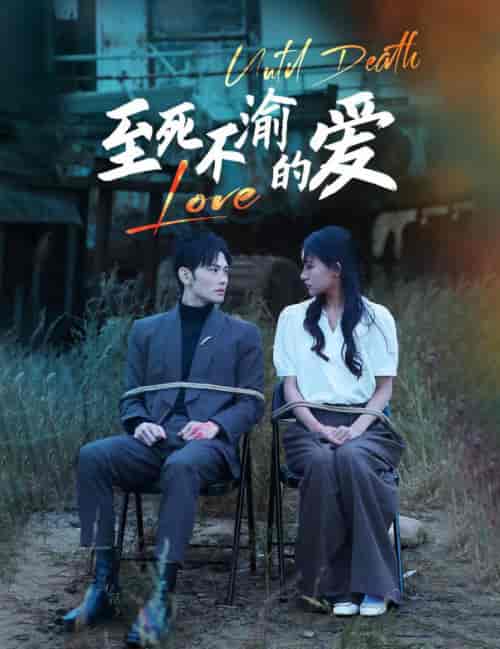 至死不渝的爱（80集全）-搜外项目网