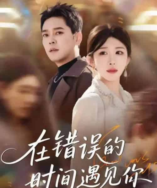 在错误的时间遇见你(61集全)房蕾&于珂然-搜外项目网