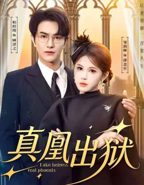 真凰出狱(51集全)柏程俊&邹漪琳-搜外项目网